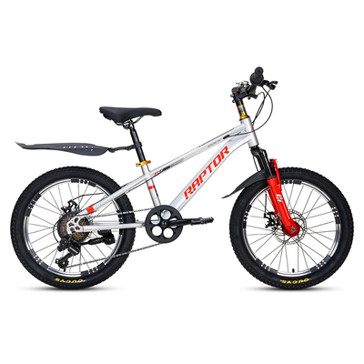 Xe Đạp Trẻ Em Youth RAPTOR Rock 2 - Bánh 20 Inch