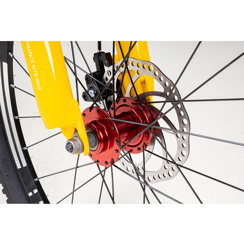 Xe Đạp Trẻ Em Youth RAPTOR Rock 2 - Bánh 20 Inch