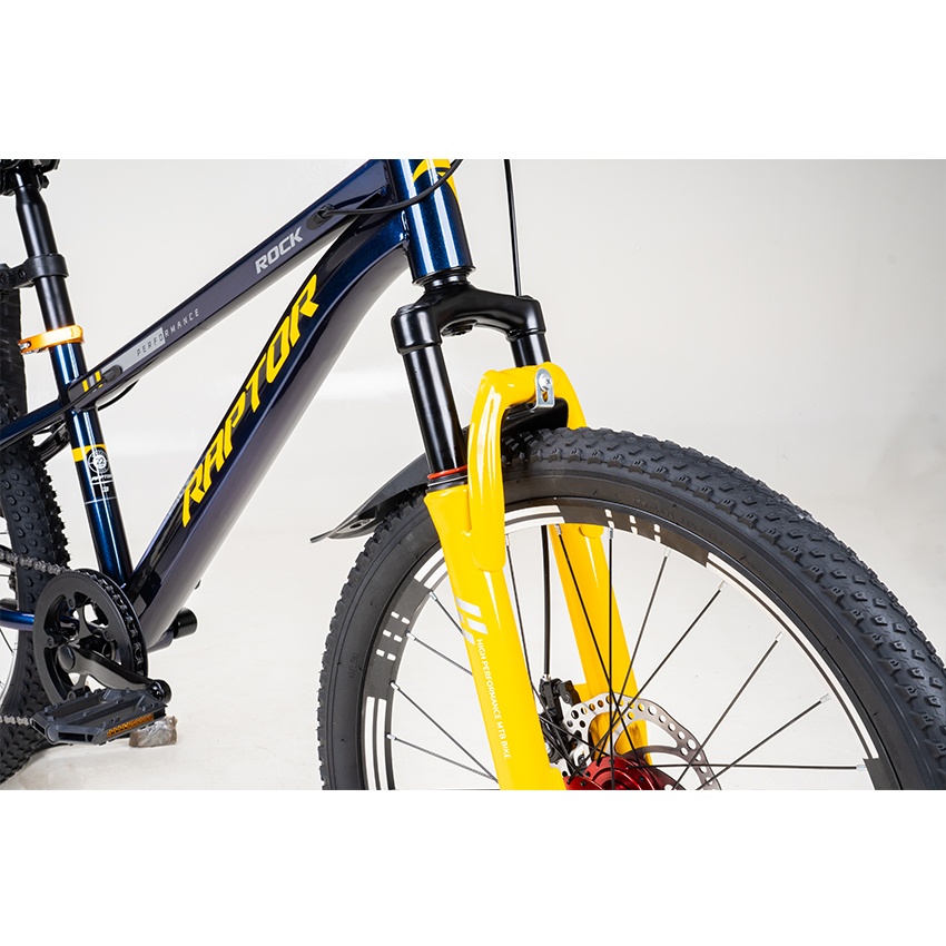 Xe Đạp Trẻ Em Youth RAPTOR Rock 2 - Bánh 20 Inch